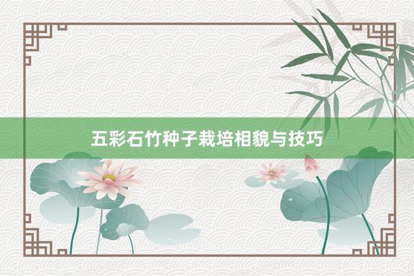 五彩石竹种子栽培相貌与技巧