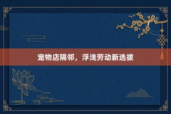 宠物店隔邻，浮浅劳动新选拔