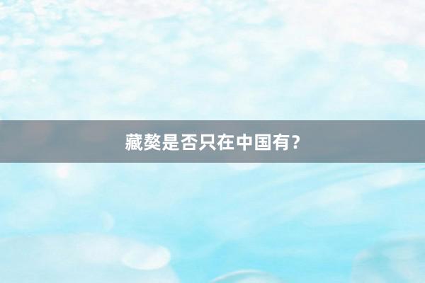 藏獒是否只在中国有？